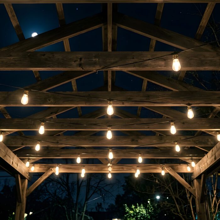 Outdoor Lighting Ideas for Denver Landscape Design