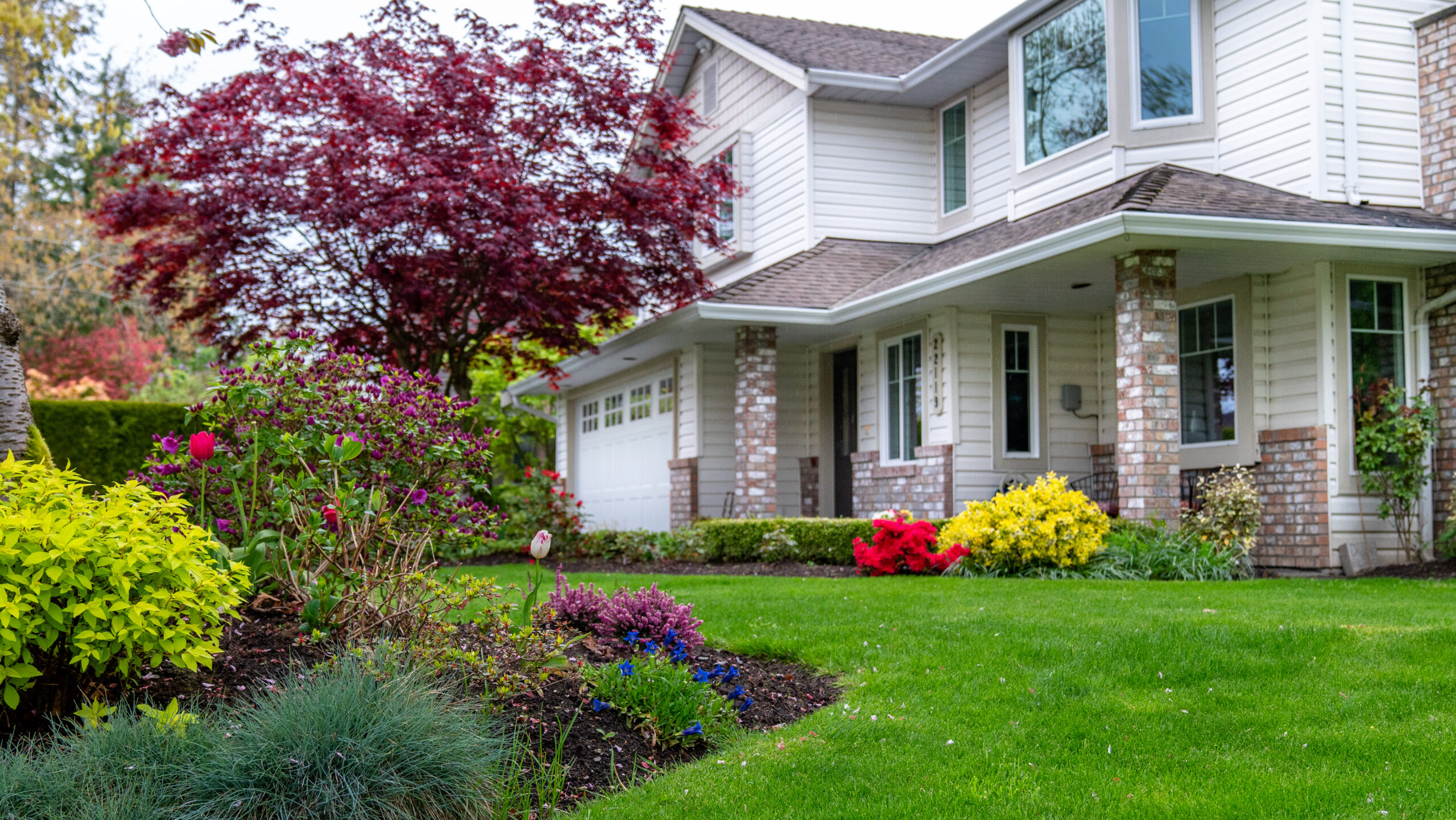 Front Yard Landscaping Ideas to Boost Curb Appeal in Denver
